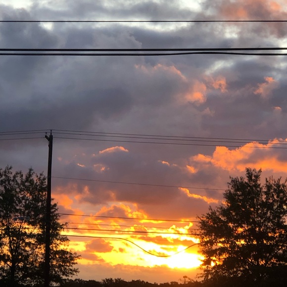 jaxsun_